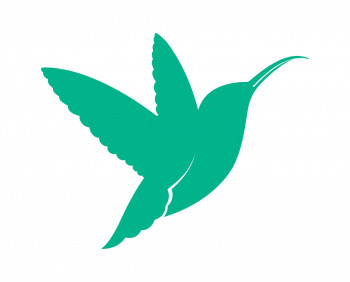 Flytrendy